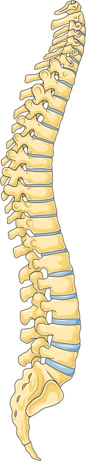 Failed Back Surgery Syndrome
