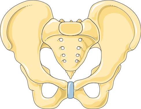Inguinal, Genital and Perineal Neuralgias