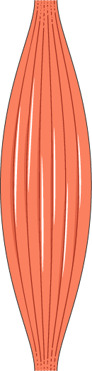 Muscle and Myofascial Pain
